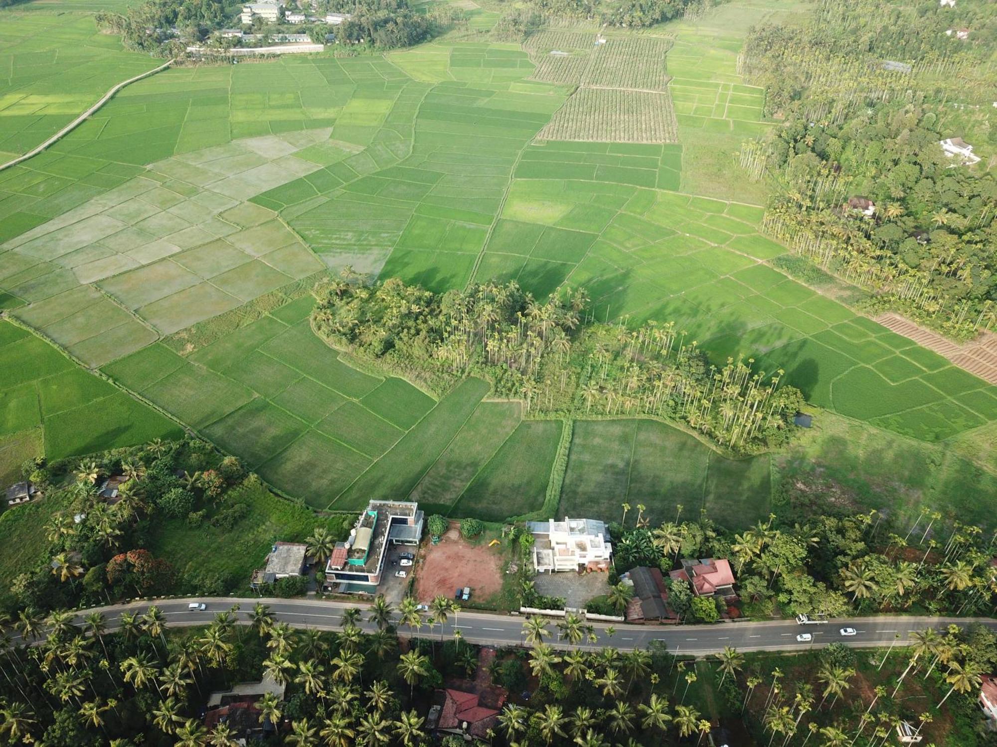 Paddyfield Inn Mananthavady Esterno foto