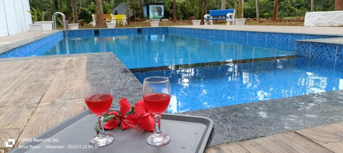 Paddyfield Inn Mananthavady Esterno foto