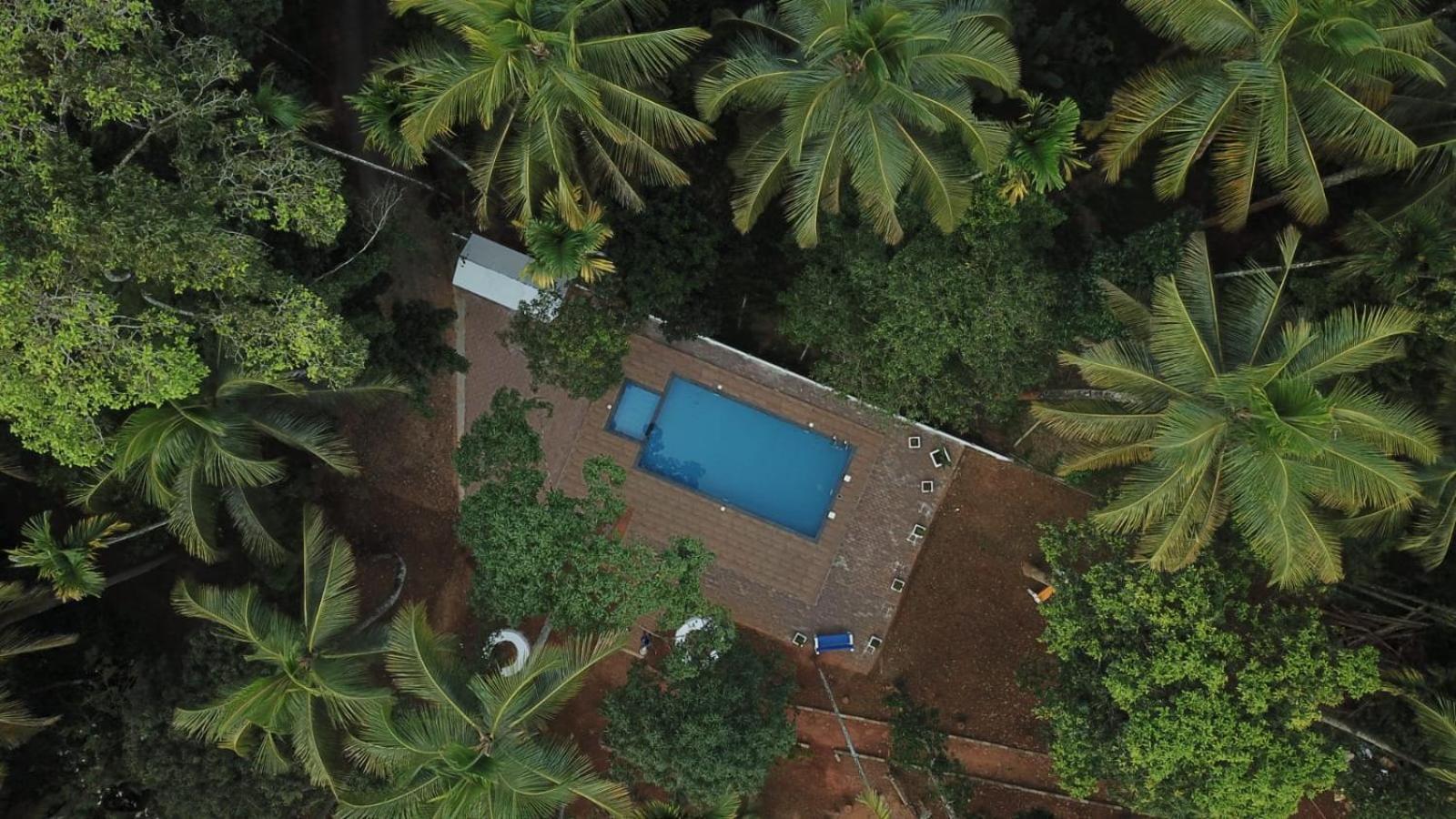 Paddyfield Inn Mananthavady Esterno foto