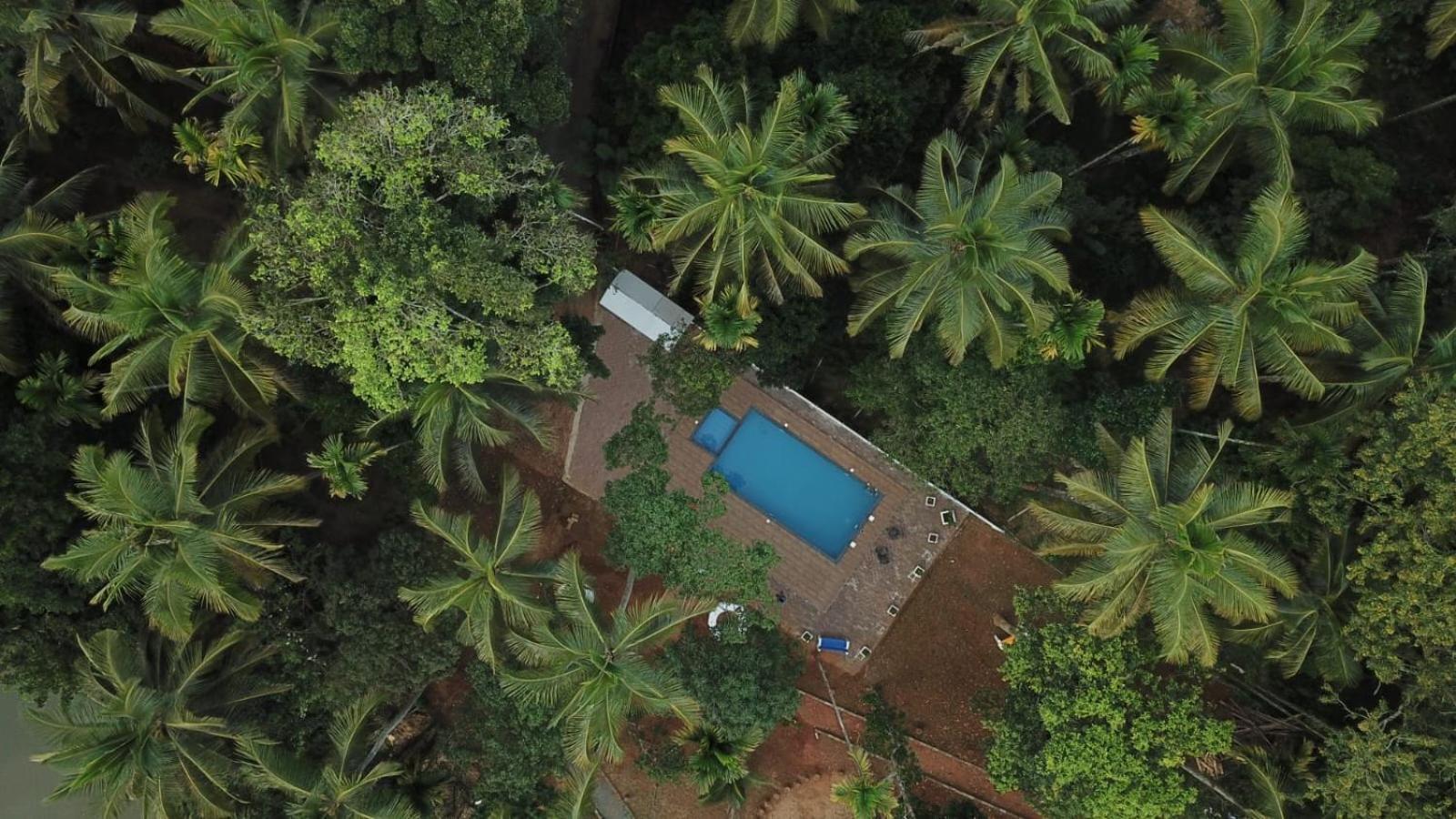 Paddyfield Inn Mananthavady Esterno foto