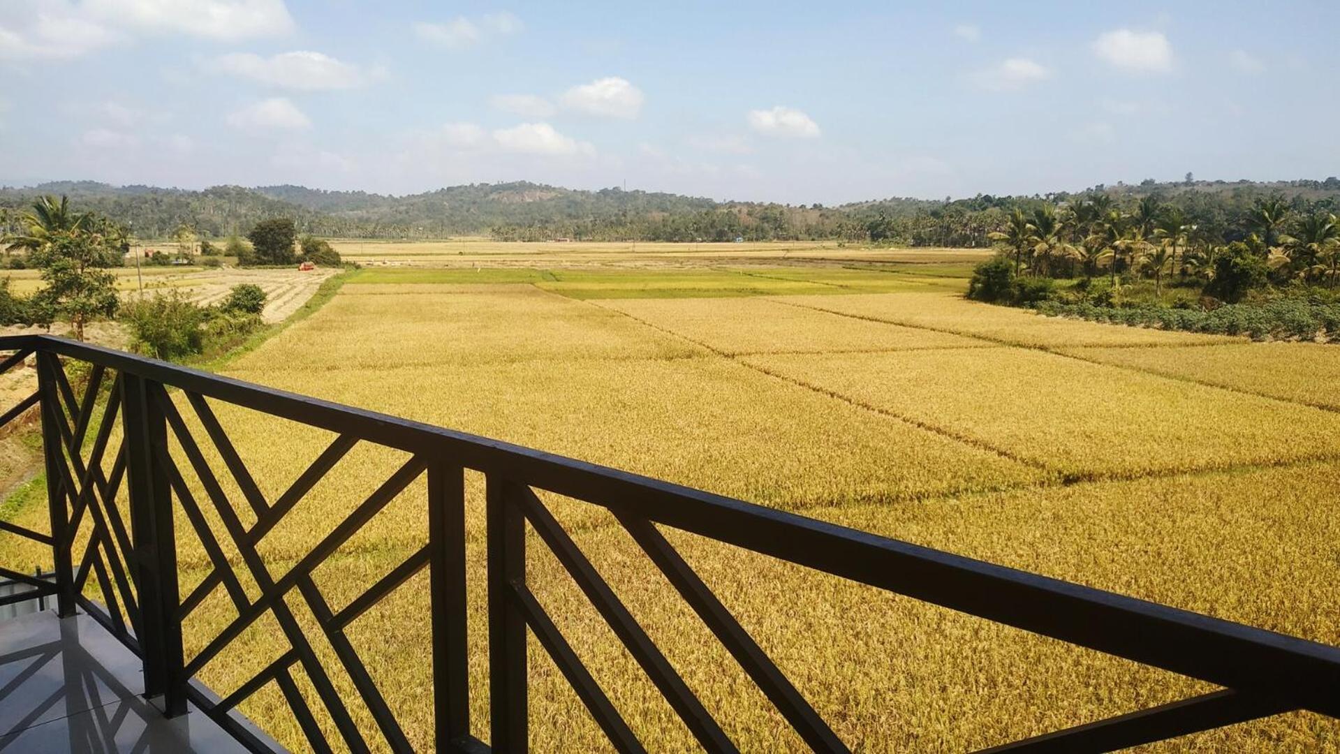 Paddyfield Inn Mananthavady Esterno foto