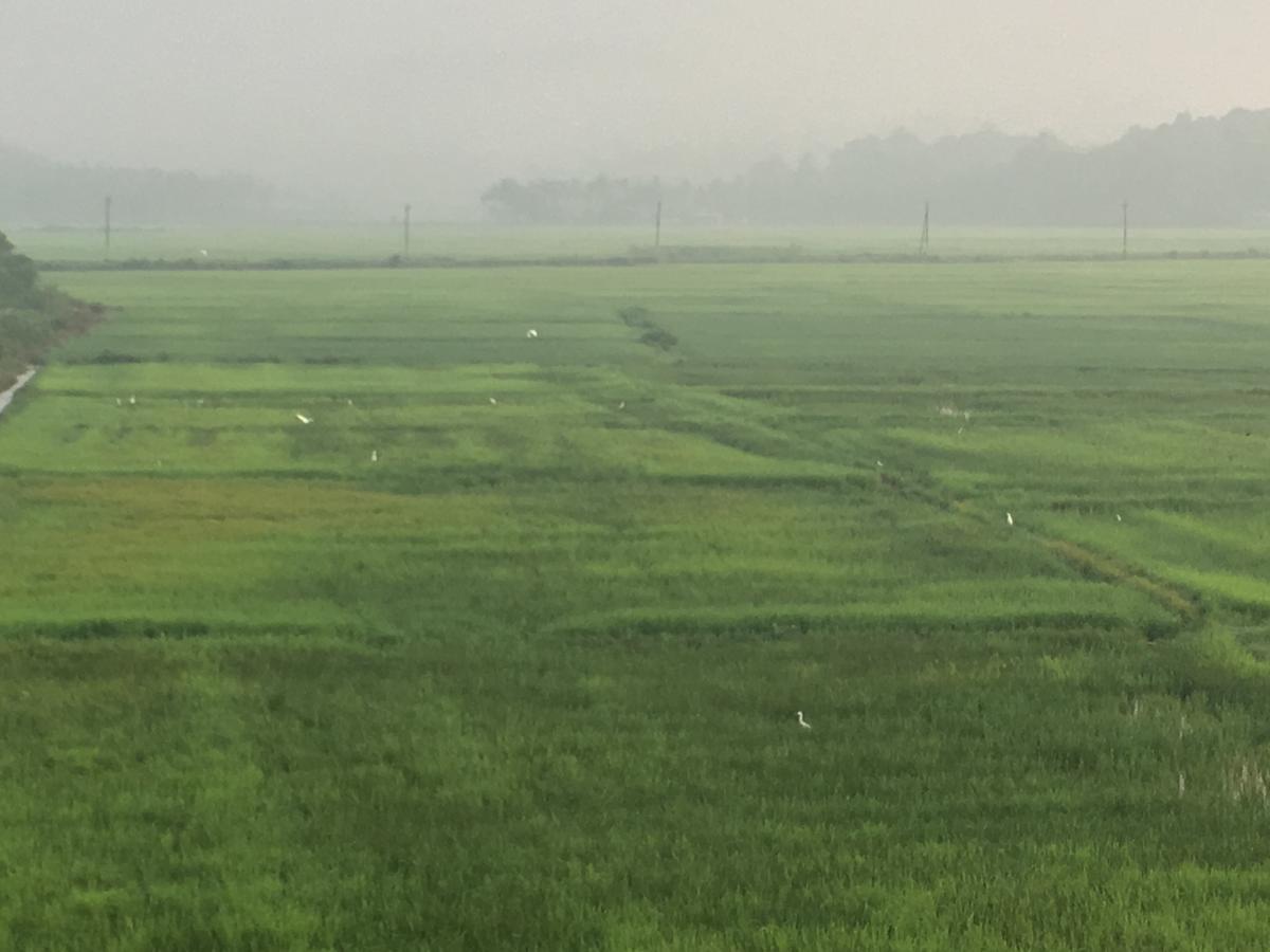 Paddyfield Inn Mananthavady Esterno foto